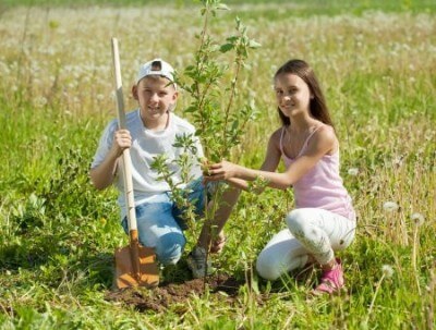 Teaching Children Perseverance and the Value of Work, by Marilyn Price-Mitchell PhD