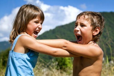 Sibling Rivalry: Helping Children Learn to Work Through Conflicts, by Laura Markham PhD