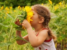 Benefits of Nature for Children and Families | Roots of Action