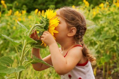 Benefits of Nature for Children and Families | Roots of Action
